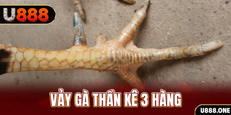 win 33 nổ hũ đổi thưởng . ai