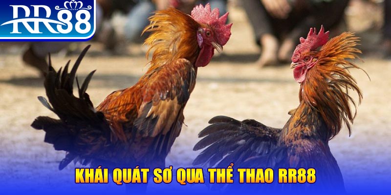win 33 baccarat bịp như thế nào