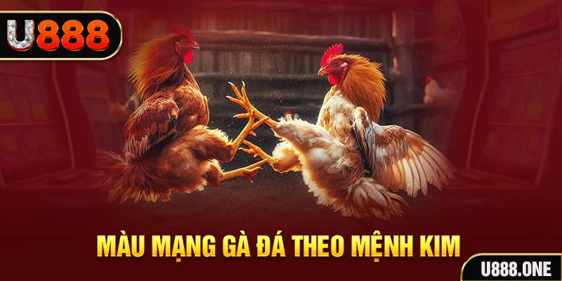 win 33 gà chọi tiêu phong