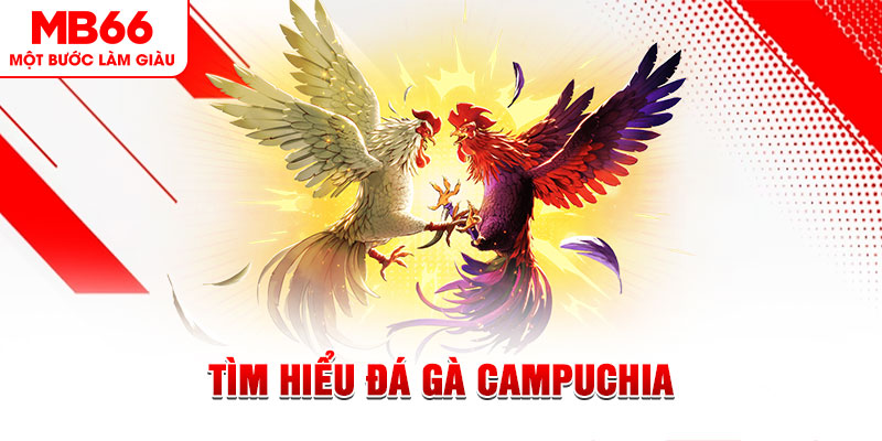 win 33 tại sao không tải được nổ hũ