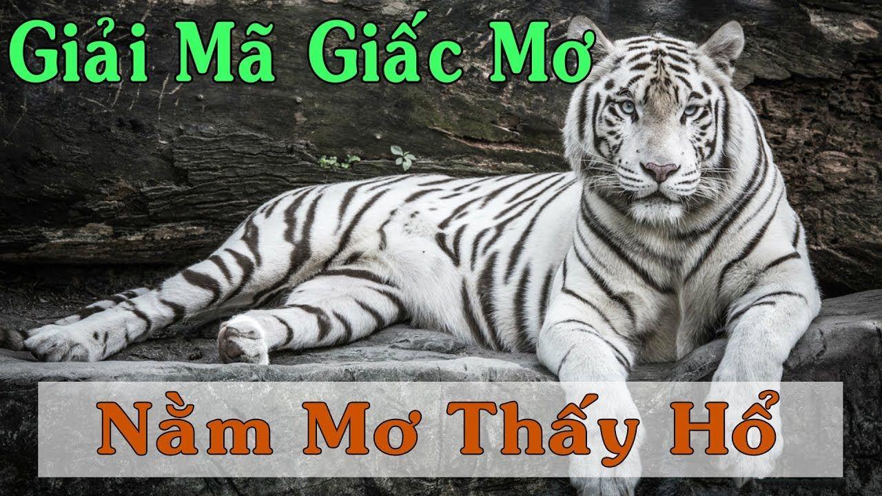 win 33 xổ số miền trung