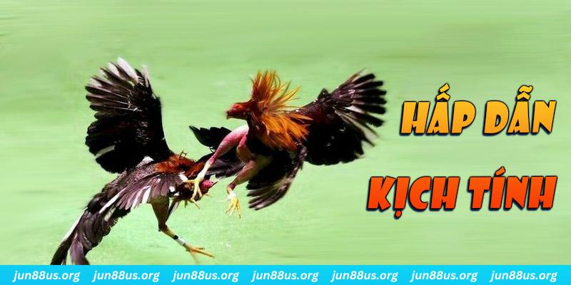 win 33 bắn cá long vương