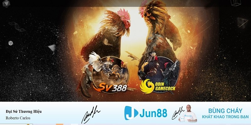 win 33 xổ số miền nam hàng tuần