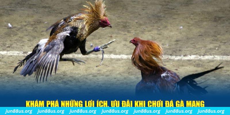 win 33 Tài Xỉu 2