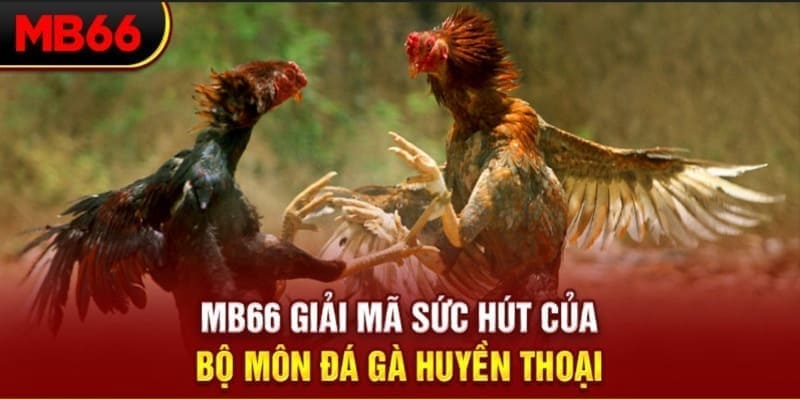 win 33 long bảo trong baccarat là gì