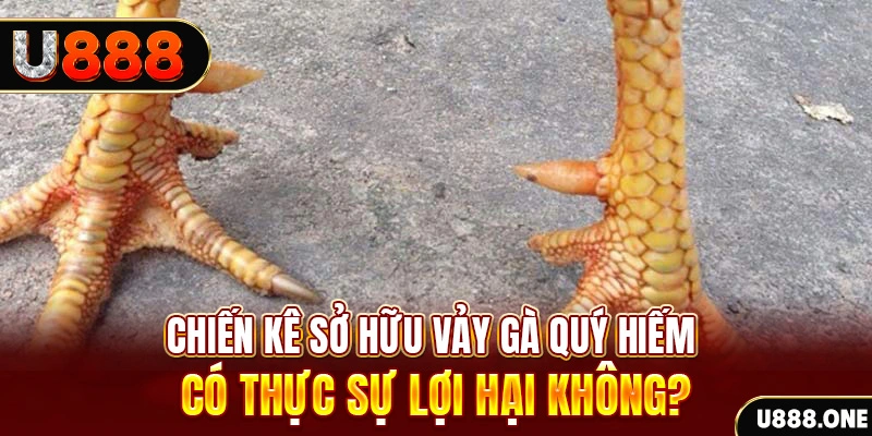 win 33 game cá cược máy bay