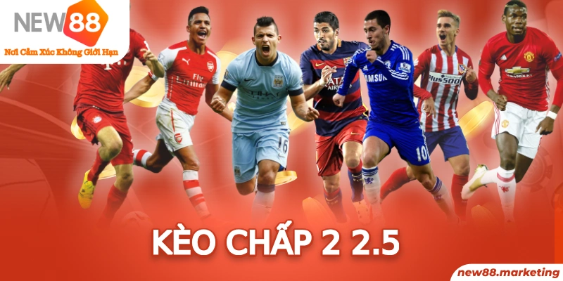win 33 trực tiếp đá gà thomo