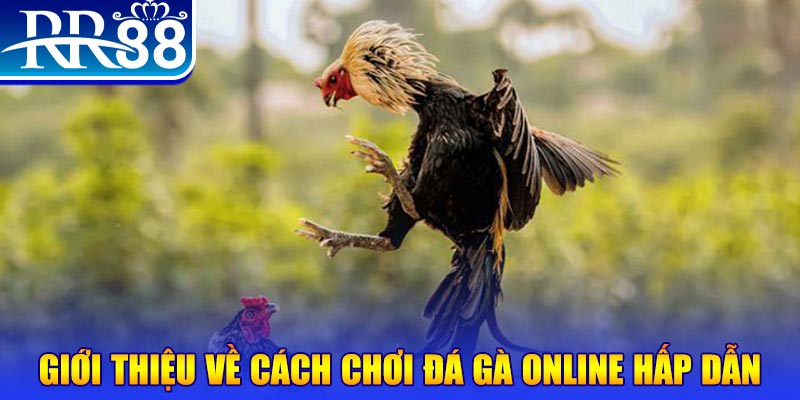 win 33 nổ hũ 2 mặt là gì