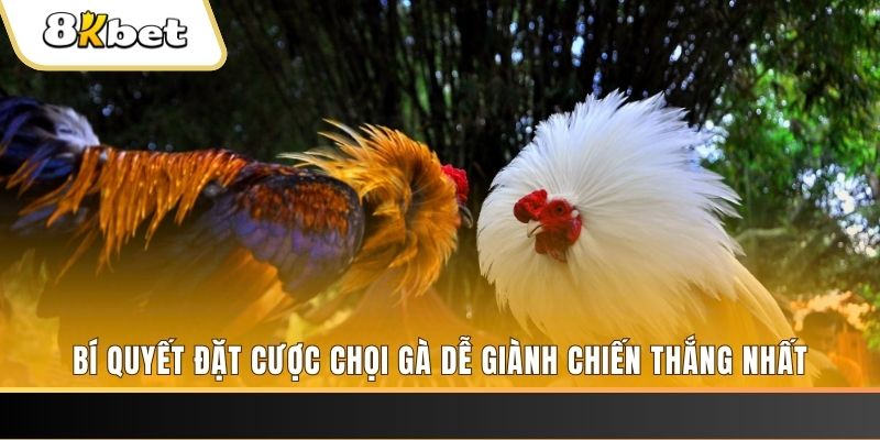win 33 may club nổ hũ