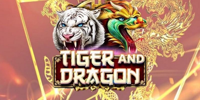 win 33 cá cược tiếng anh là gì