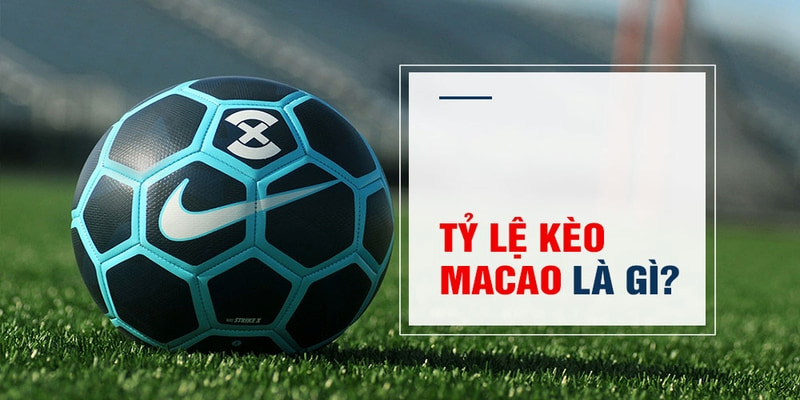 win 33 Trăm Knorr
